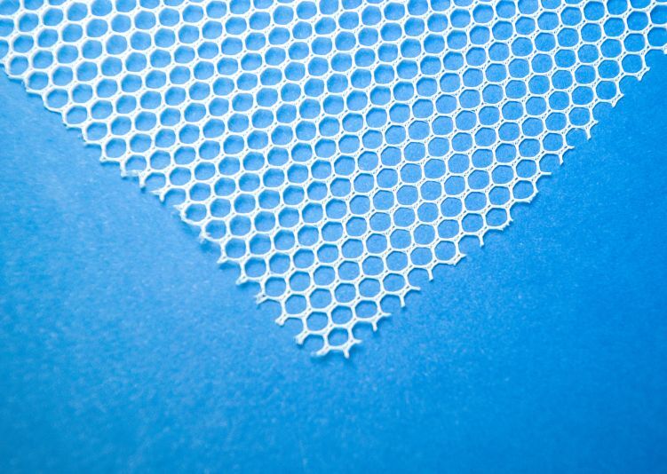 Transvaginal Mesh Recalls