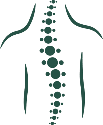 Spinal cord
